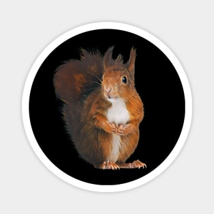 Squirrel - Woodland Themed Kids Room, Funny Gifts For Forester, Cute Animals Magnet